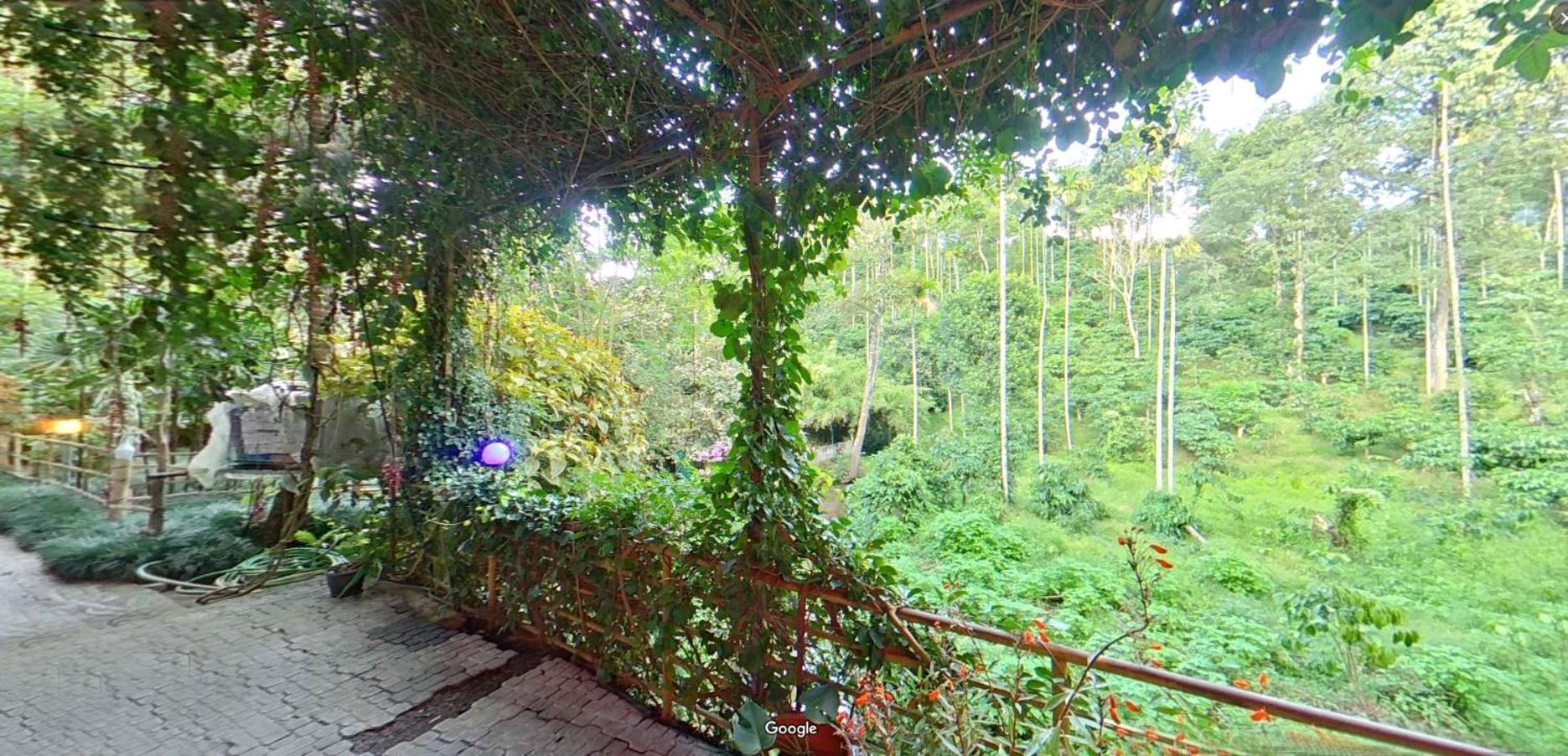 Bed and Breakfast Wayanad Royal Stream Kalpetta Esterno foto