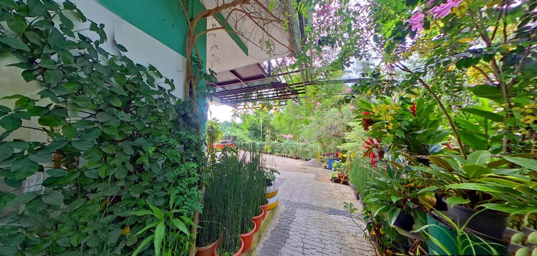 Bed and Breakfast Wayanad Royal Stream Kalpetta Esterno foto