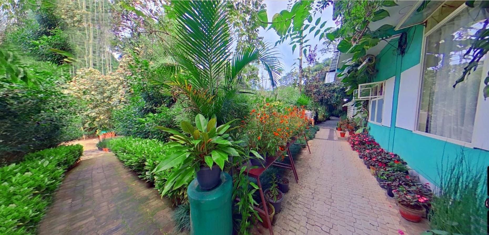 Bed and Breakfast Wayanad Royal Stream Kalpetta Esterno foto